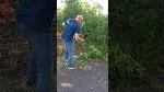 stihl_clt